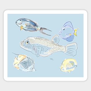 Red Sea Fishes Magnet